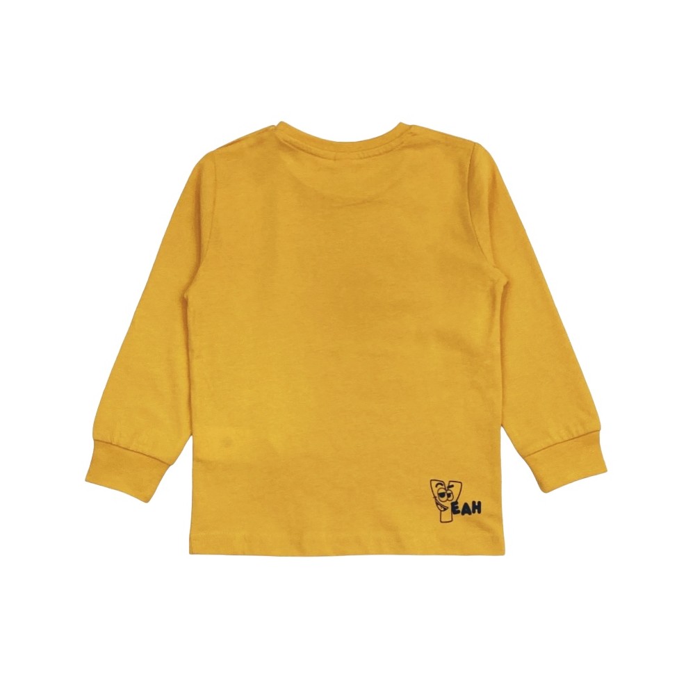 t-shirt boy caldo cotone 3/8 anni